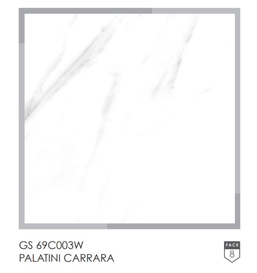 GARUDA GRANITE GS69C003WPALATINI CARRARA 60X60 KW 2 (DSC)