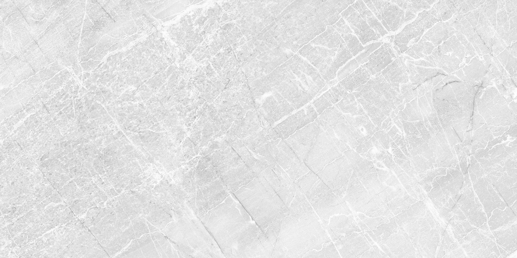 PLATINUM KERAMIK CARMEN GREY KW1 25X50 (DSC)