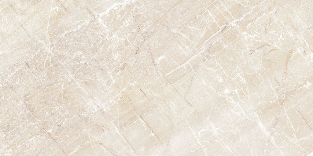 PLATINUM KERAMIK CARMEN BROWN KW1 25X50 (DSC)