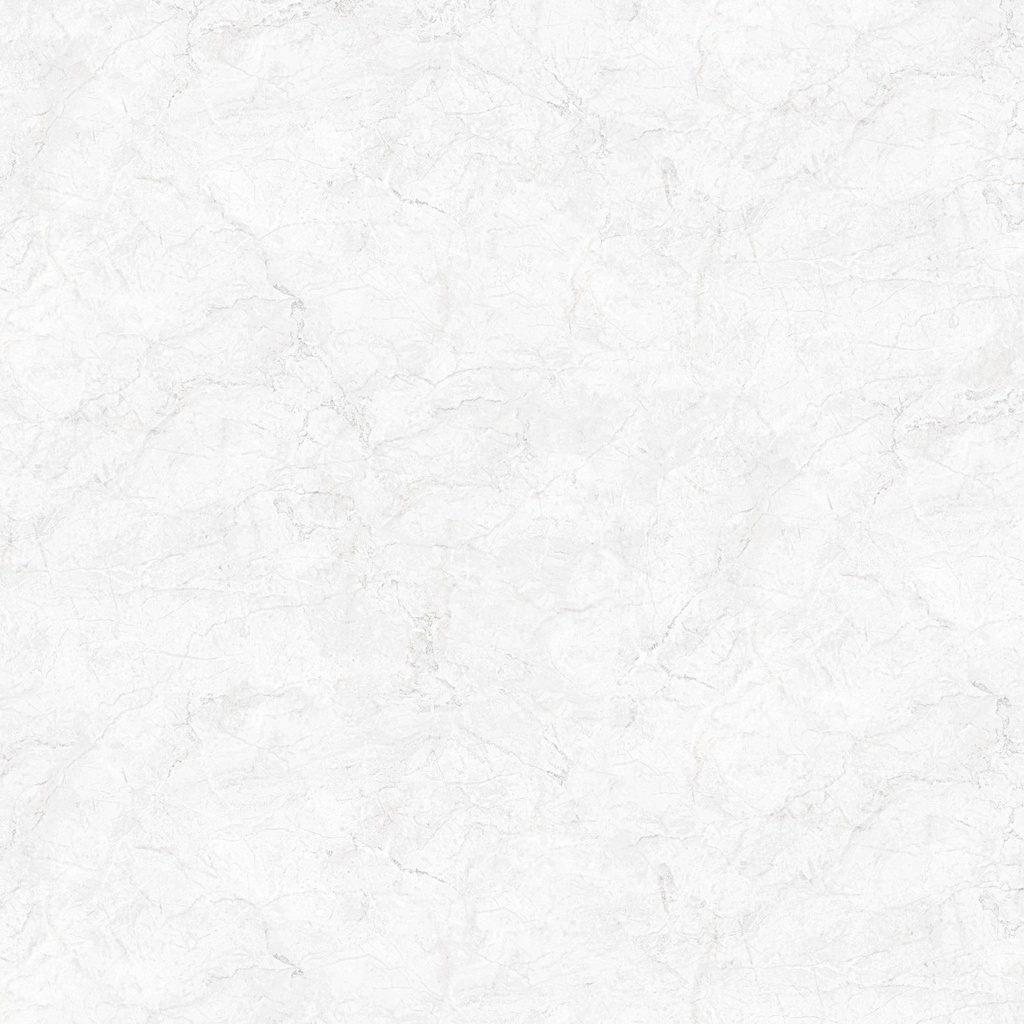 PLATINUM NINO GREY KW A 25 X 40