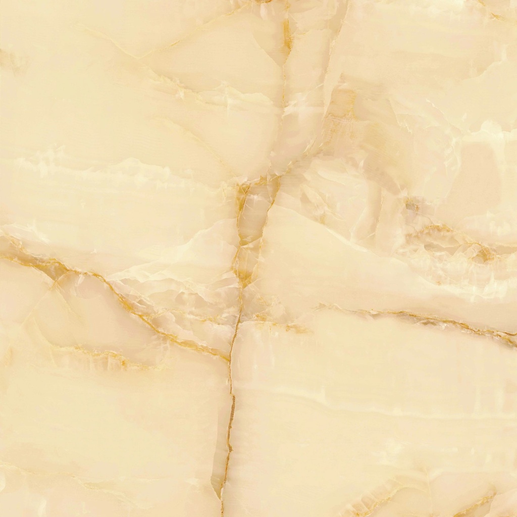 PLATINUM SALVATORE BROWN 50 X 50 (DSC)