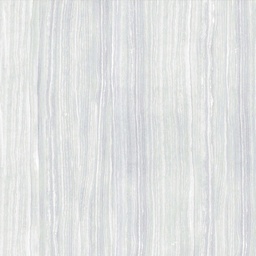 [FC040208026821] PLATINUM HOLLY GREY 40X40