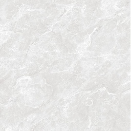 [FC040208026748] ASIA TILE ZIGMA GREY KW A 40X40 (A)