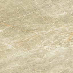 [FC040208026783] PLATINUM BRAXTON BROWN KW A 40 X 40 (DSC)